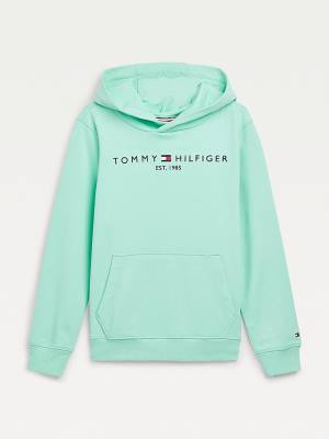 Bluzy Z Kapturem Tommy Hilfiger Essential Logo Dziewczynka Zielone | TH329DLM