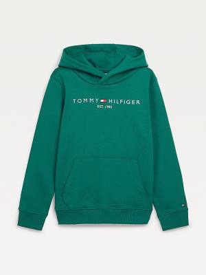 Bluzy Z Kapturem Tommy Hilfiger Essential Logo Chłopięce Zielone | TH634KIL