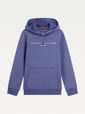 Bluzy Z Kapturem Tommy Hilfiger Essential Logo Chłopięce Niebieskie | TH734GUC