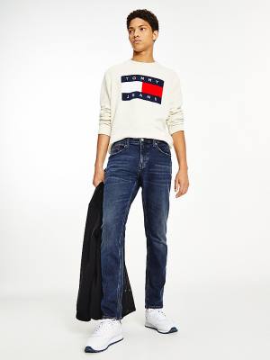 Jeansy Tommy Hilfiger Austin Slim Tapered Męskie Denim | TH946TXN