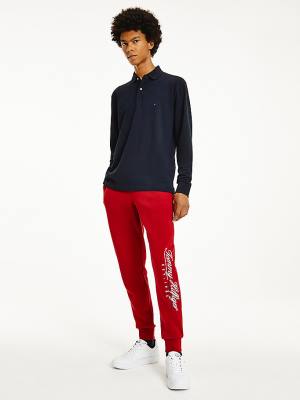 Koszulki Polo Tommy Hilfiger 1985 TH Flex Regular Fit Long Sleeve Męskie Niebieskie | TH628TLX