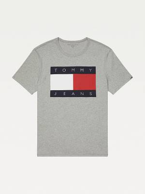 Koszulki Tommy Hilfiger Adaptive Flag Bawełniane Sensory Friendly Męskie Szare | TH651HKS