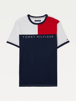 Koszulki Tommy Hilfiger Adaptive Flag Pure Bawełniane Męskie Multi | TH163UZD