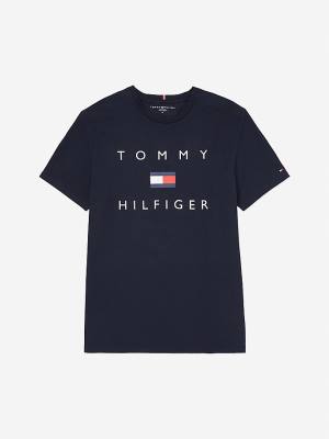 Koszulki Tommy Hilfiger Adaptive Pure Bawełniane Logo Męskie Niebieskie | TH527QJT