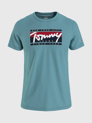 Koszulki Tommy Hilfiger Essential Logo Męskie Niebieskie | TH675KSY