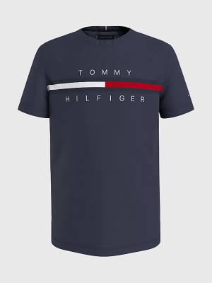 Koszulki Tommy Hilfiger Flag Rib Insert Chłopięce Niebieskie | TH960IFW