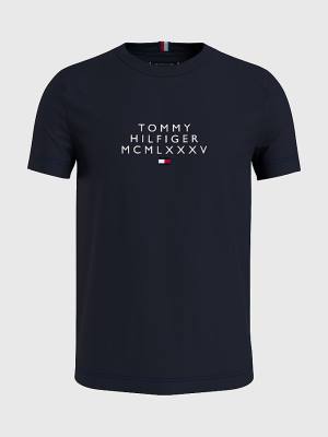 Koszulki Tommy Hilfiger Graphic Logo Męskie Niebieskie | TH410JNA