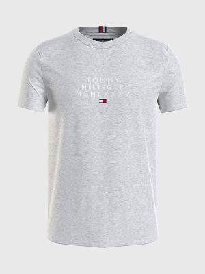 Koszulki Tommy Hilfiger Graphic Logo Męskie Szare | TH827TOF