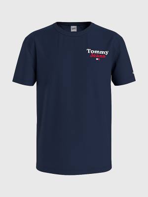 Koszulki Tommy Hilfiger Logo Print Męskie Niebieskie | TH830LUV