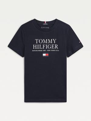 Koszulki Tommy Hilfiger Organic Bawełniane Logo Chłopięce Niebieskie | TH158VEY