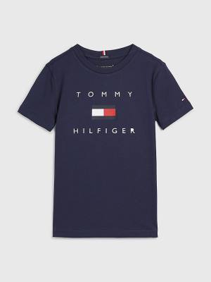 Koszulki Tommy Hilfiger Organic Bawełniane Logo Chłopięce Niebieskie | TH245IJS