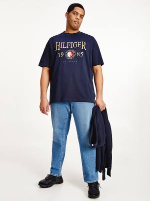 Koszulki Tommy Hilfiger Plus Icons Relaxed Fit Męskie Niebieskie | TH059YNQ