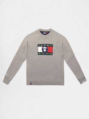 Koszulki Tommy Hilfiger Tommy X AAPE Long Sleeve Męskie Szare | TH540PXC