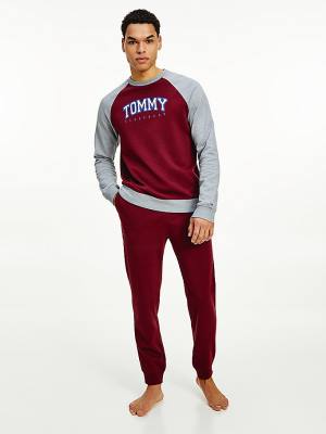 Pyjamas Tommy Hilfiger Logo Waistband Lounge Joggers Męskie Fioletowe | TH845MOC