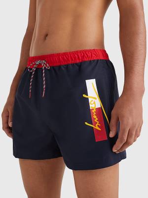 Stroje Kąpielowe Tommy Hilfiger Colour-Blocked Krótkie Length Shorts Męskie Niebieskie | TH216LEF