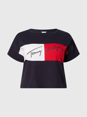 Stroje Kąpielowe Tommy Hilfiger Curve Colour-Blocked Cropped Damskie Niebieskie | TH541RLF