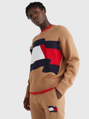 Swetry Tommy Hilfiger Motion Flag Crew Neck Jumper Męskie Brązowe | TH530ILQ