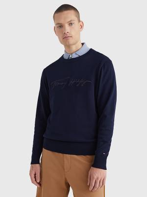 Swetry Tommy Hilfiger Signature Logo Embroidery Jumper Męskie Niebieskie | TH241KRE