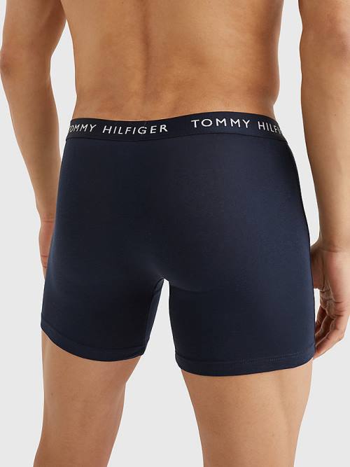 Bielizny Tommy Hilfiger 3-Pack Logo Waistband Bokser Briefs Męskie Brązowe | TH381WIT