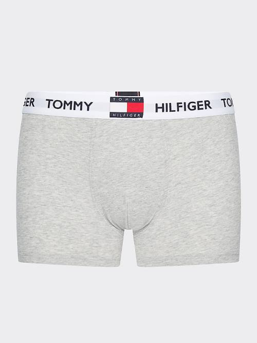 Bielizny Tommy Hilfiger Tommy 85 Stretch Bawełniane Logo Trunks Męskie Szare | TH204YWU