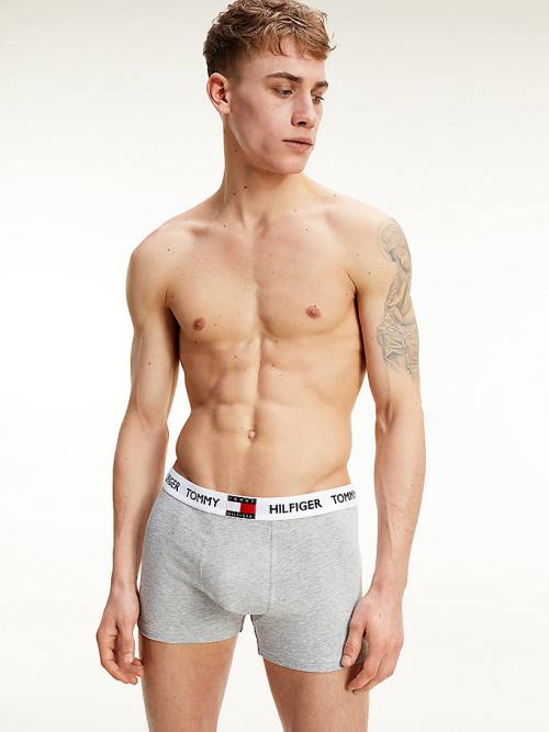 Bielizny Tommy Hilfiger Tommy 85 Stretch Bawełniane Logo Trunks Męskie Szare | TH204YWU