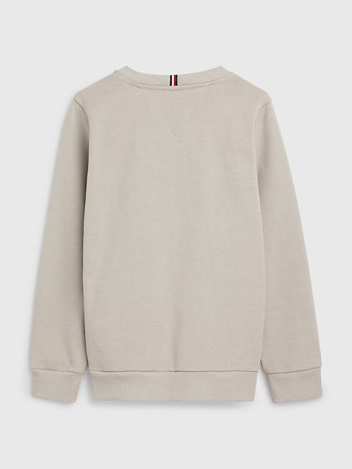 Bluzy Tommy Hilfiger Natural Earth Dye Chłopięce Szare | TH290FRK