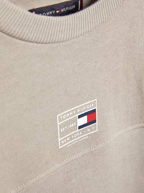 Bluzy Tommy Hilfiger Natural Earth Dye Chłopięce Szare | TH290FRK