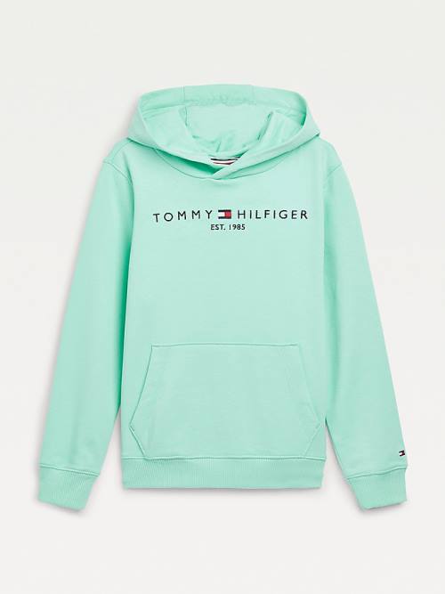 Bluzy Z Kapturem Tommy Hilfiger Essential Logo Chłopięce Zielone | TH072KQJ