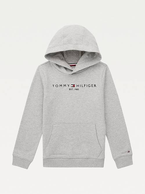 Bluzy Z Kapturem Tommy Hilfiger Essential Logo Organic Bawełniane Chłopięce Szare | TH372UEW