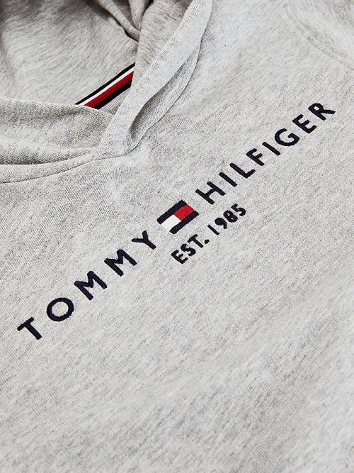 Bluzy Z Kapturem Tommy Hilfiger Essential Logo Organic Bawełniane Dziewczynka Szare | TH403RKN