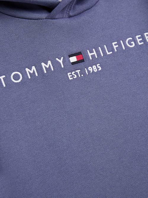 Bluzy Z Kapturem Tommy Hilfiger Essential Logo Dziewczynka Niebieskie | TH492PLG