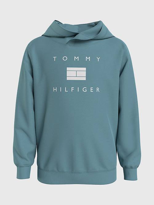 Bluzy Z Kapturem Tommy Hilfiger Flag Logo Chłopięce Niebieskie | TH360BTR