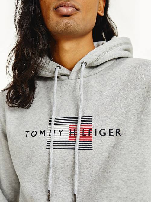 Bluzy Z Kapturem Tommy Hilfiger Front Logo Organic Bawełniane Fleece Męskie Szare | TH051LQA