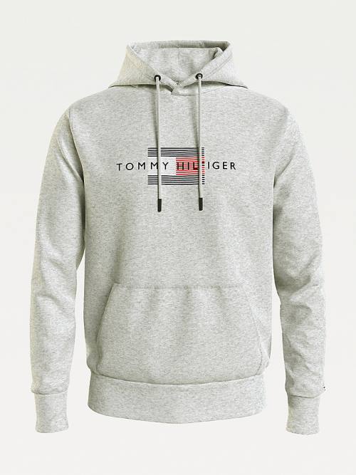 Bluzy Z Kapturem Tommy Hilfiger Front Logo Organic Bawełniane Fleece Męskie Szare | TH051LQA