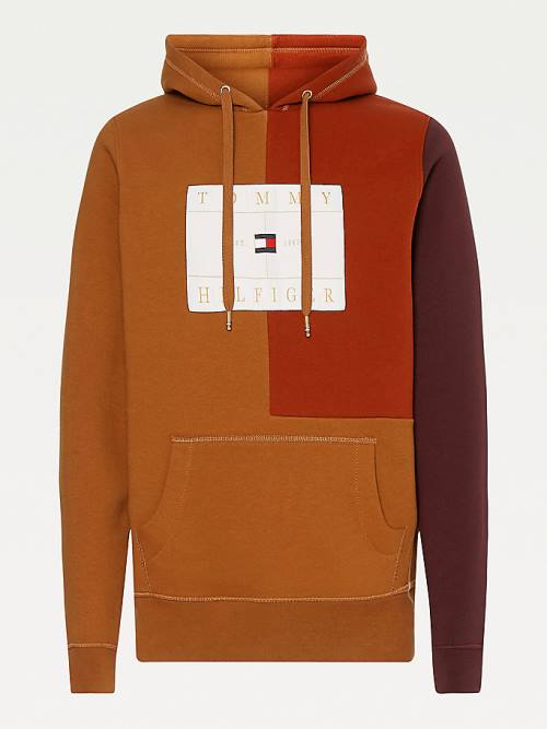 Bluzy Z Kapturem Tommy Hilfiger Icons Colour-Blocked Fleece Męskie Brązowe | TH431FBZ