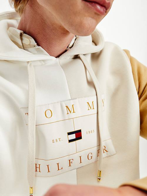 Bluzy Z Kapturem Tommy Hilfiger Icons Colour-Blocked Fleece Męskie Beżowe | TH561VRJ