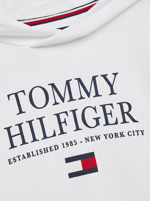 Bluzy Z Kapturem Tommy Hilfiger Organic Bawełniane Logo Chłopięce Białe | TH173KPC