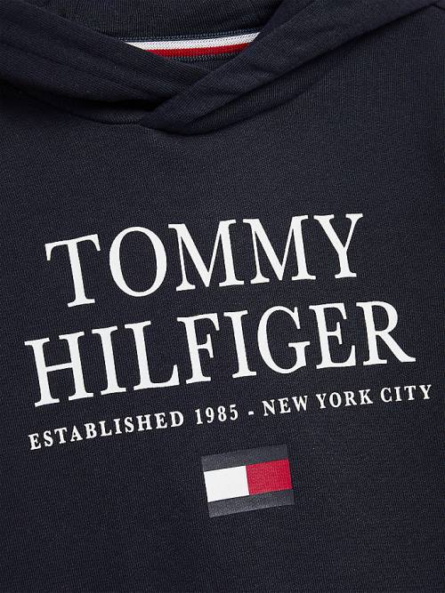 Bluzy Z Kapturem Tommy Hilfiger Organic Bawełniane Logo Chłopięce Niebieskie | TH751BFU