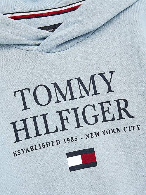 Bluzy Z Kapturem Tommy Hilfiger Organic Bawełniane Logo Chłopięce Niebieskie | TH807MLJ