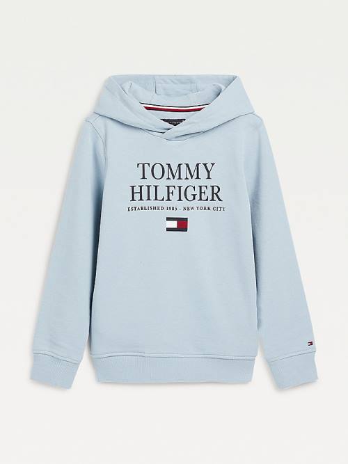 Bluzy Z Kapturem Tommy Hilfiger Organic Bawełniane Logo Chłopięce Niebieskie | TH807MLJ