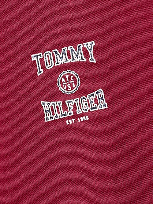 Bluzy Z Kapturem Tommy Hilfiger Varsity Logo Slouchy Dziewczynka Czerwone | TH297CXL