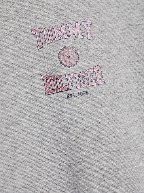 Bluzy Z Kapturem Tommy Hilfiger Varsity Logo Slouchy Dziewczynka Szare | TH506PFO