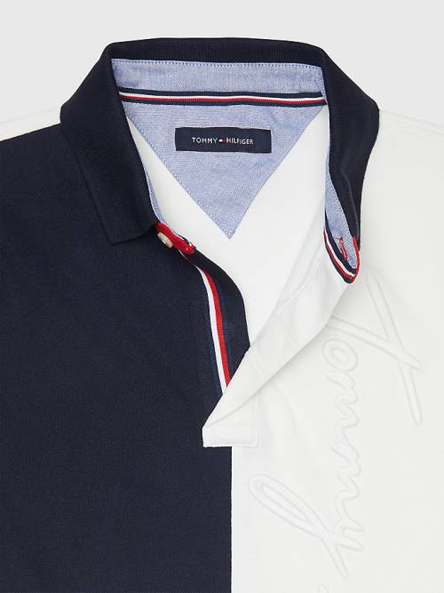 Koszulki Polo Tommy Hilfiger Adaptive Colour-Blocked Slim Fit Męskie Multi | TH978CFJ