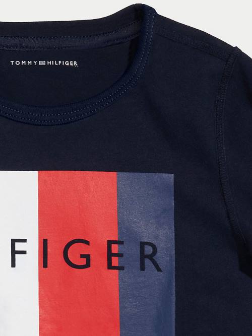 Koszulki Tommy Hilfiger Adaptive Sensory Flag Logo Chłopięce Niebieskie | TH625DFO