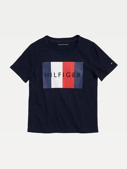 Koszulki Tommy Hilfiger Adaptive Sensory Flag Logo Chłopięce Niebieskie | TH625DFO