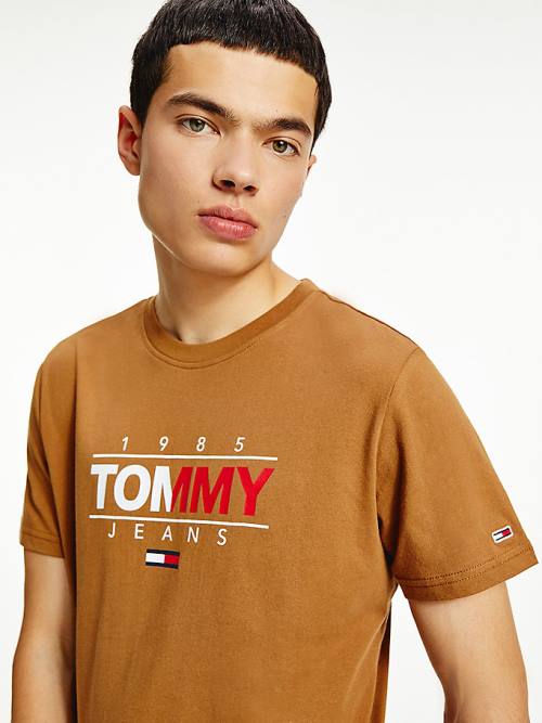 Koszulki Tommy Hilfiger Essential Graphic Męskie Brązowe | TH973OWP