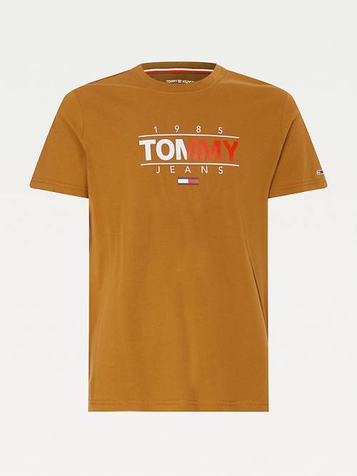 Koszulki Tommy Hilfiger Essential Graphic Męskie Brązowe | TH973OWP