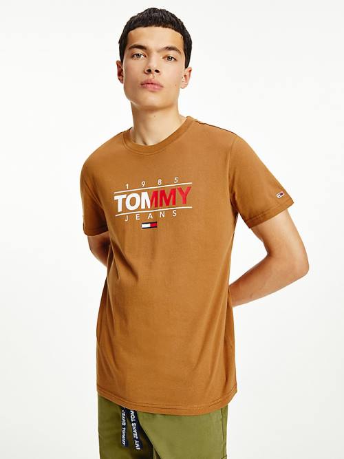 Koszulki Tommy Hilfiger Essential Graphic Męskie Brązowe | TH973OWP