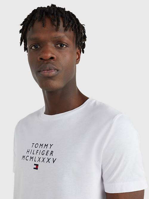 Koszulki Tommy Hilfiger Graphic Logo Męskie Białe | TH973ATY