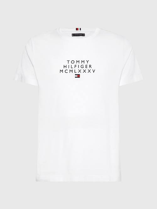 Koszulki Tommy Hilfiger Graphic Logo Męskie Białe | TH973ATY